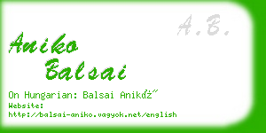 aniko balsai business card